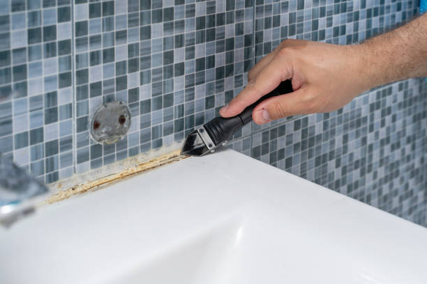 Best Mold Removal Near Me  in East Point, GA