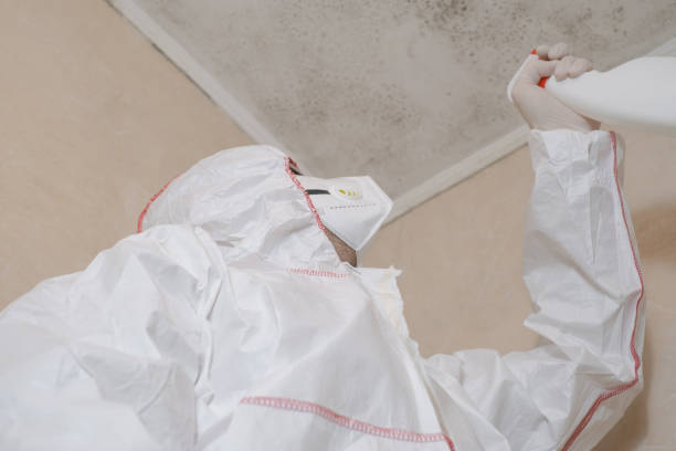 Attic Mold Removal in East Point, GA